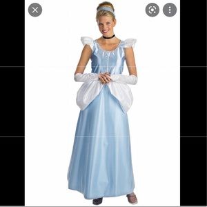 Disney adult size small Cinderella costume!